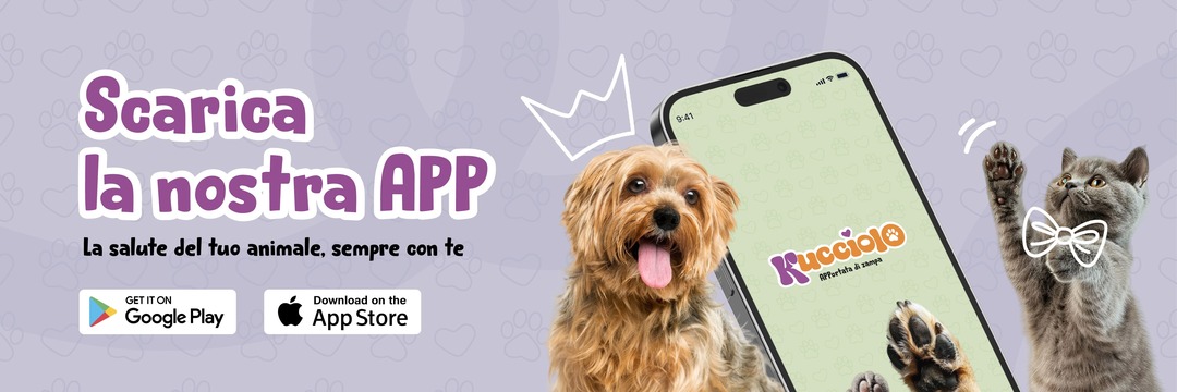 Pubblicità app Kucciolo con cane e gatto, scaricabile su Google Play e App Store.