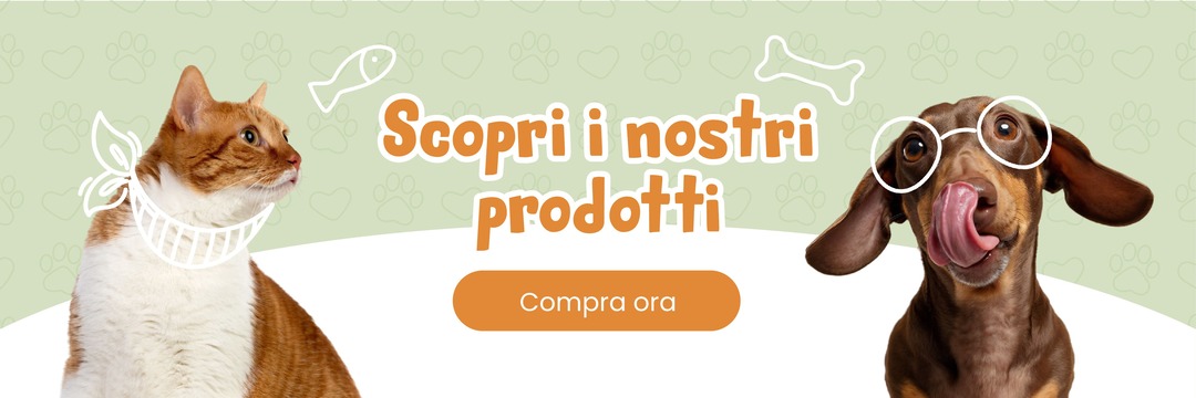 Gatto e cane con occhiali, "Scopri i nostri prodotti", "Compra ora".