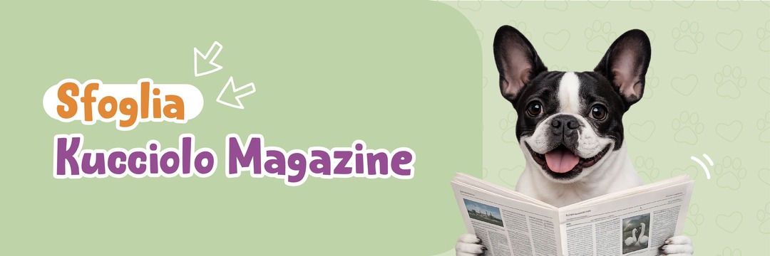 Un simpatico bulldog francese legge il giornale, con il testo "Sfoglia Cucciolo Magazine".