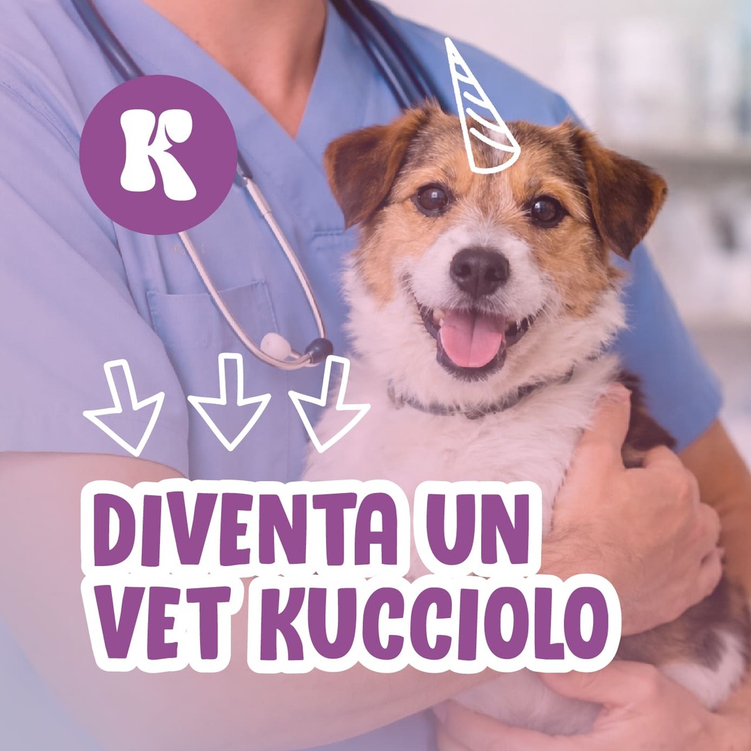 Cagnolino sorridente con corno di unicorno, tenuto da un veterinario, con frecce che indicano il testo.
