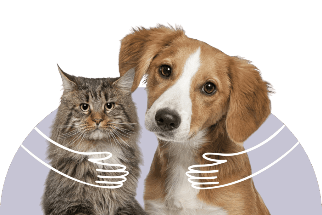 Cane e gatto in primo piano, con braccia che li abbracciano.