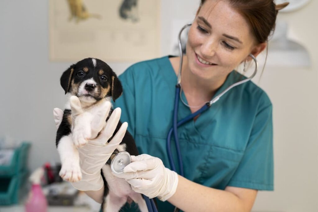 Una veterinaria sorridente ausculta un cucciolo in bianco e nero con lo stetoscopio.