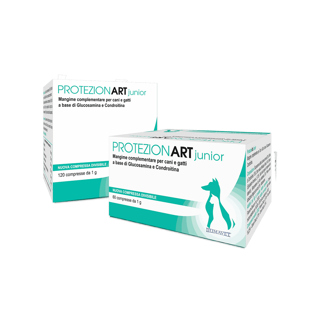 Due confezioni di Protezionart Junior.