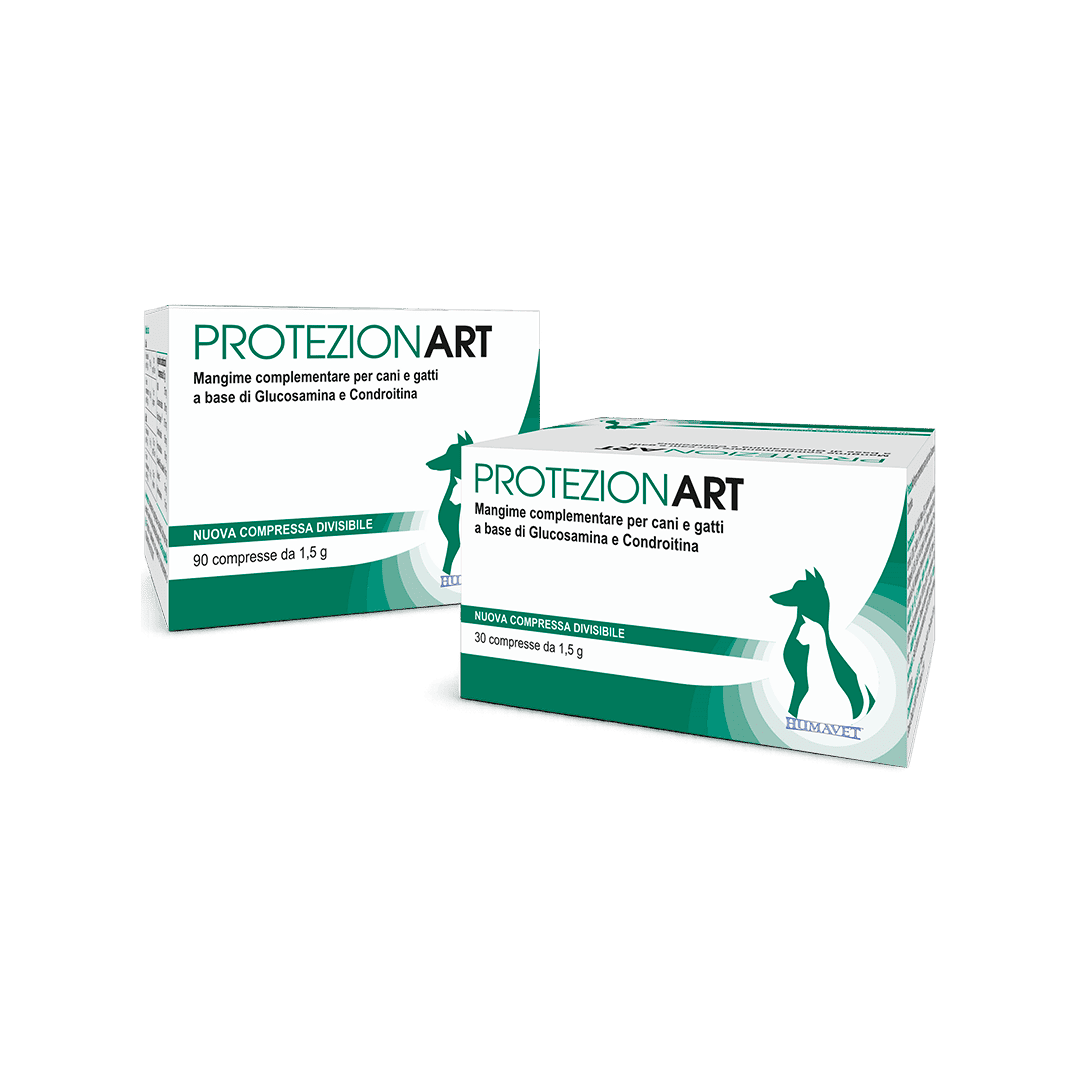 Due confezioni di ProtezionArt, integratore per cani e gatti, su sfondo nero.