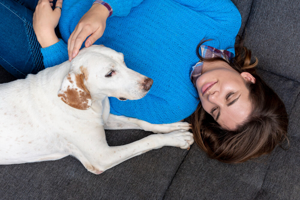 Disbiosi intestinale nel cane cos’è, come si manifesta e come supportare il microbiota