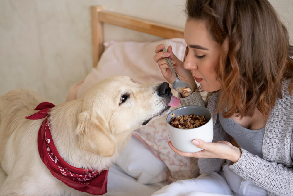 Feci molli nel cane cause più comuni, rimedi di supporto e alimentazione consigliata